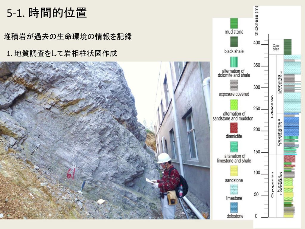 5-1. 時間的位置 堆積岩が過去の生命環境の情報を記録 1. 地質調査をして岩相柱状図作成