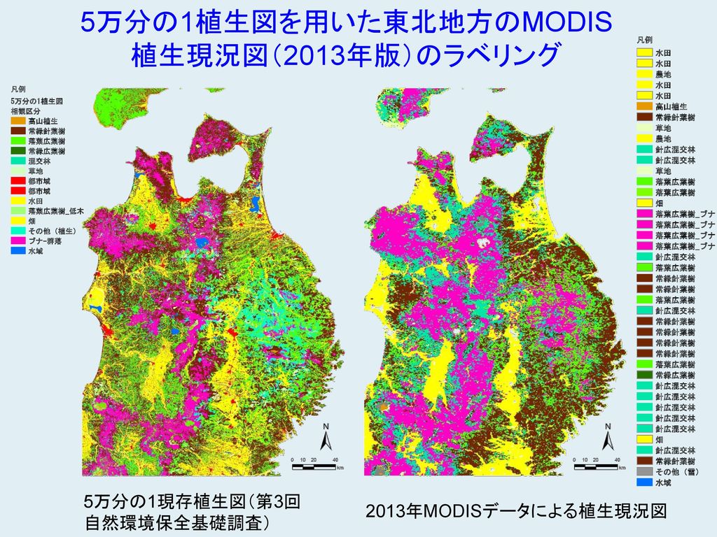 5万分の1植生図を用いた東北地方のMODIS植生現況図（2013年版）のラベリング