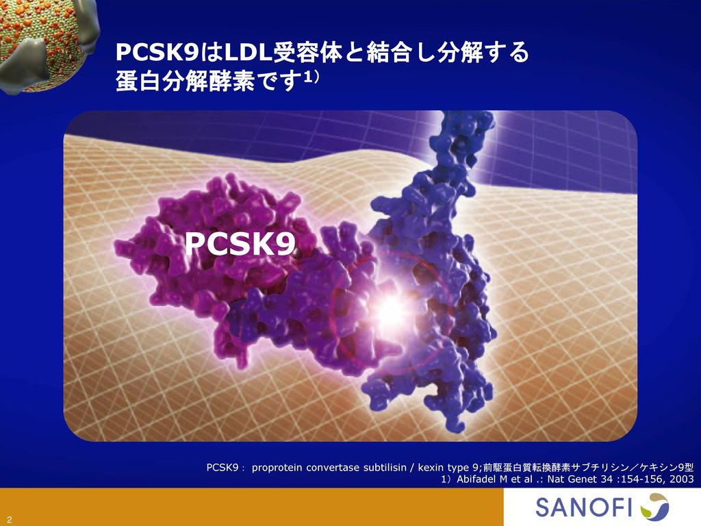 PCSK9はLDL受容体と結合し分解する 蛋白分解酵素です1）
