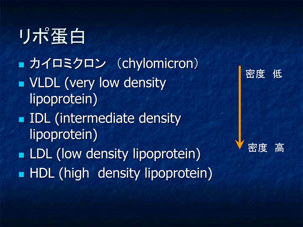 リポ蛋白 カイロミクロン （chylomicron） VLDL (very low density lipoprotein)