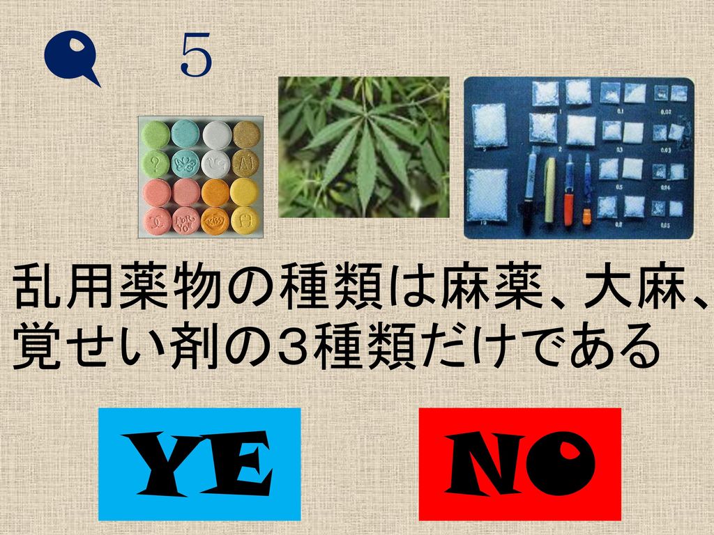 Q ５ 乱用薬物の種類は麻薬、大麻、覚せい剤の３種類だけである YES NO