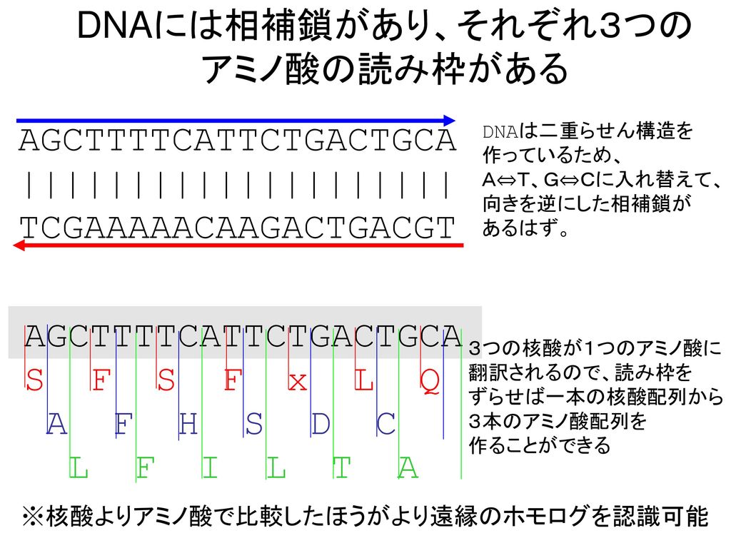 奈良先端大 情報 蛋白質機能予測学講座 川端 猛 Ppt Download