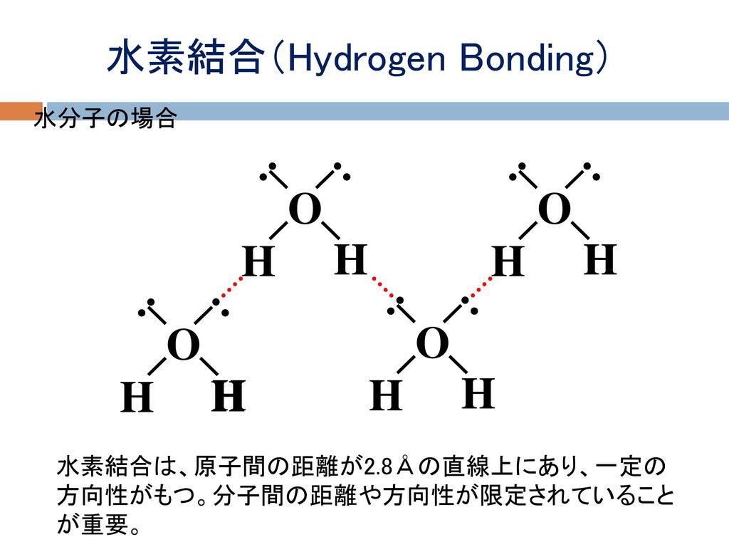 水素結合（Hydrogen Bonding）