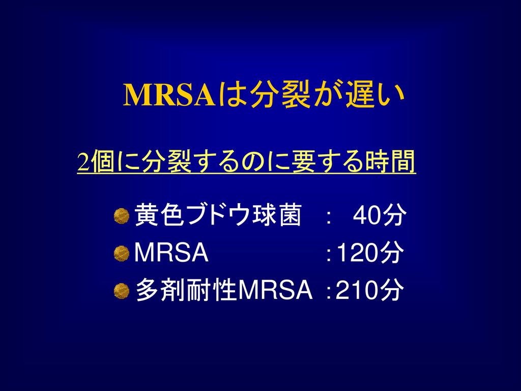 MRSAは分裂が遅い 2個に分裂するのに要する時間 黄色ブドウ球菌 ： 40分 MRSA ：120分 多剤耐性MRSA ：210分