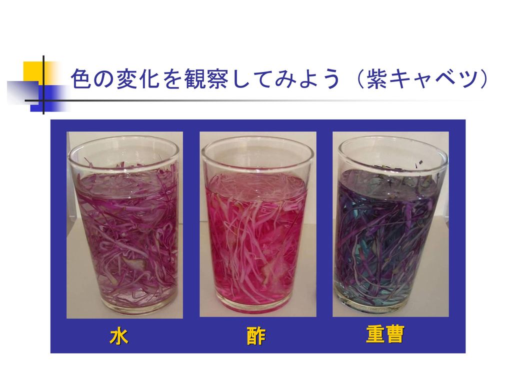 色の変化を観察してみよう（紫キャベツ） 水 酢 重曹