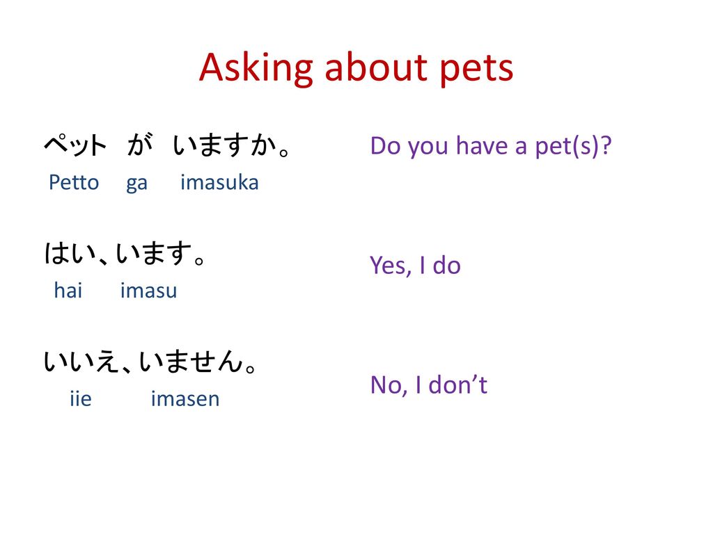 Asking about pets ペット が いますか。 はい、います。 いいえ、いません。