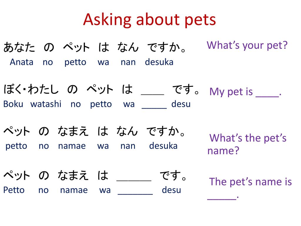 Asking about pets What’s your pet My pet is ____. What’s the pet’s name The pet’s name is _____.
