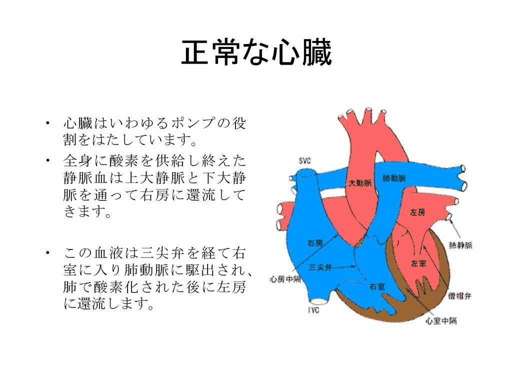 正常な心臓 心臓はいわゆるポンプの役割をはたしています。 全身に酸素を供給し終えた静脈血は上大静脈と下大静脈を通って右房に還流してきます。