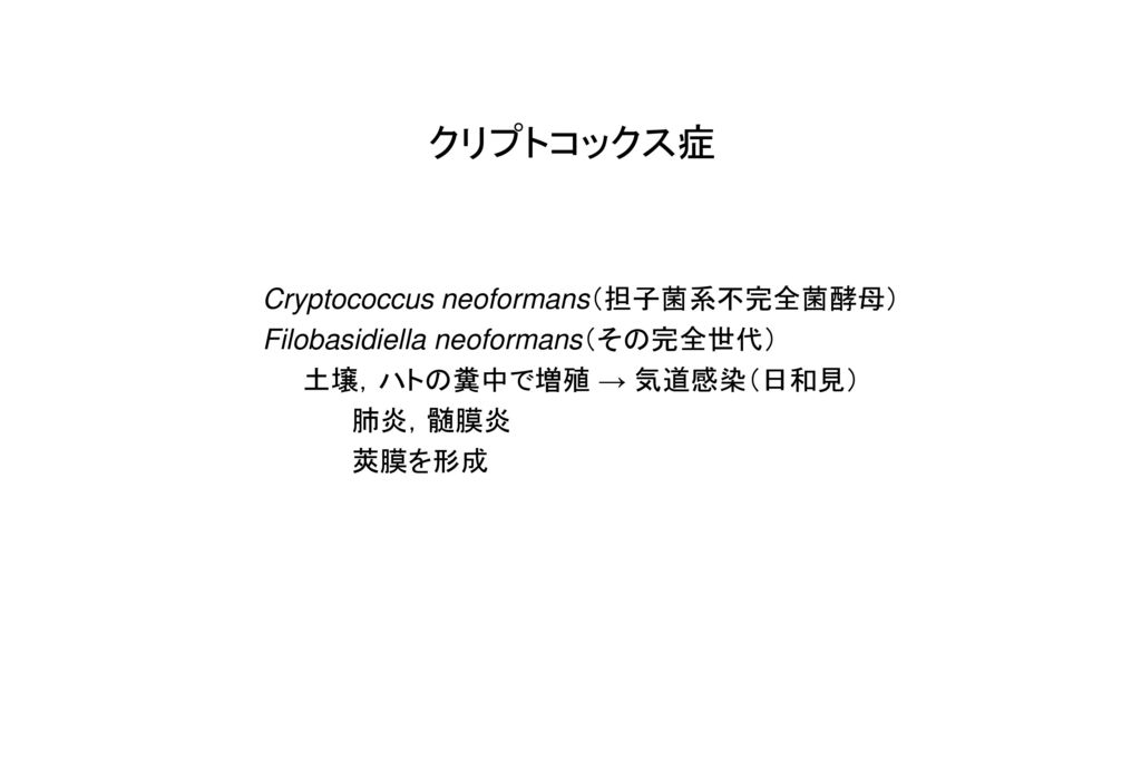 クリプトコックス症 Cryptococcus neoformans（担子菌系不完全菌酵母）