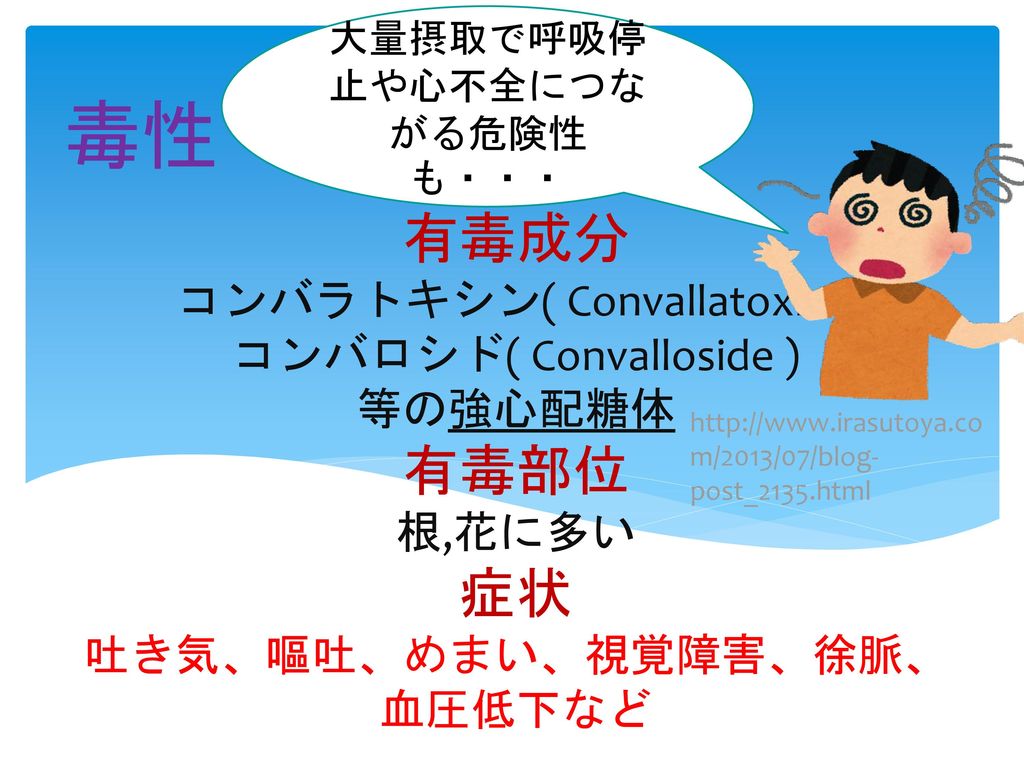 身近な毒草 10班 Ppt Download