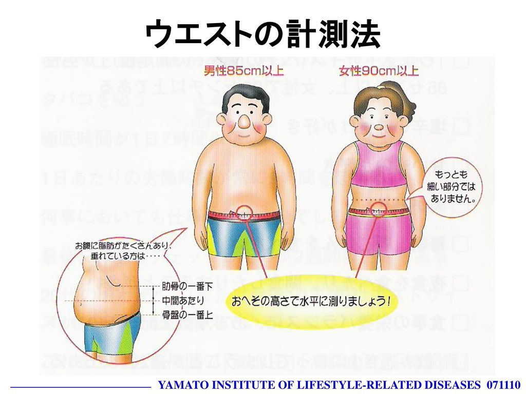 ウエストの計測法 YAMATO INSTITUTE OF LIFESTYLE-RELATED DISEASES