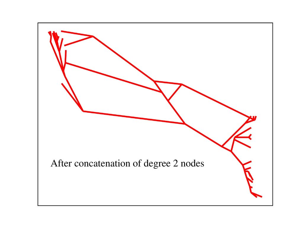 After concatenation of degree 2 nodes