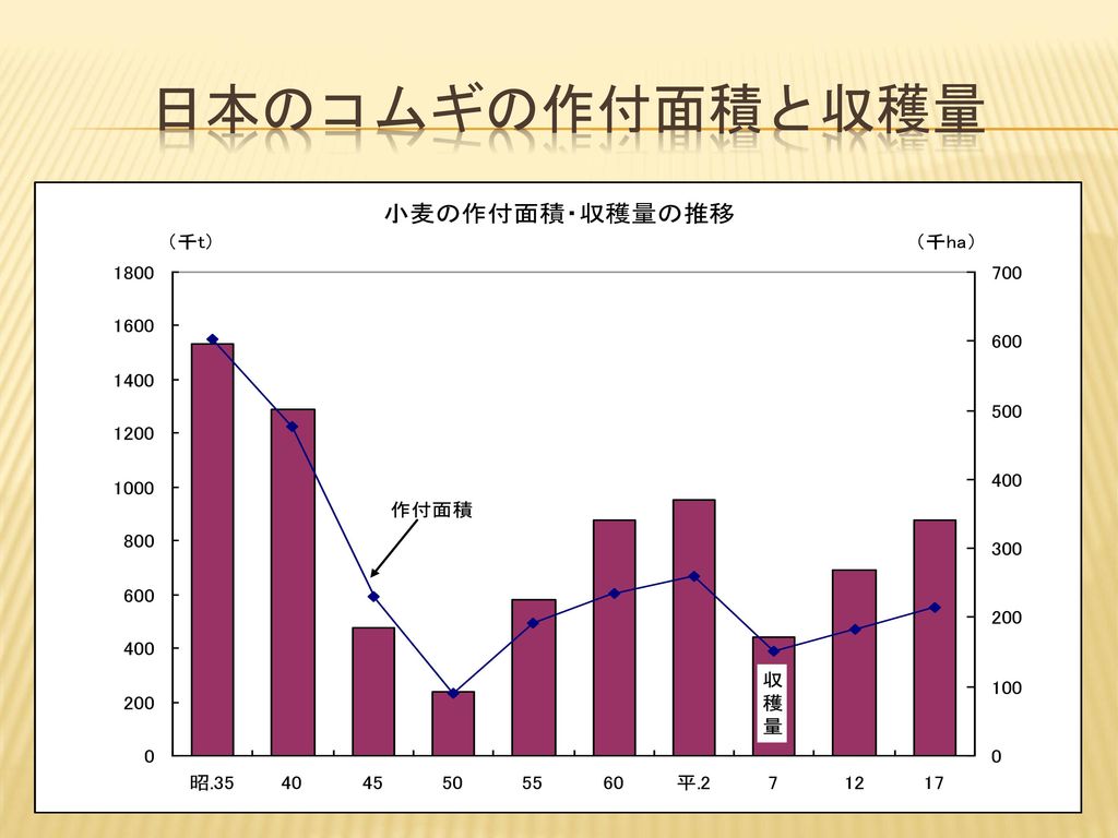 日本のコムギの作付面積と収穫量