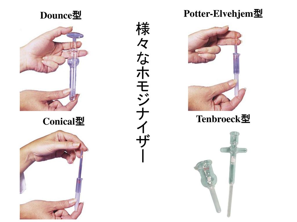 Dounce型 Potter-Elvehjem型 様々なホモジナイザー Tenbroeck型 Conical型