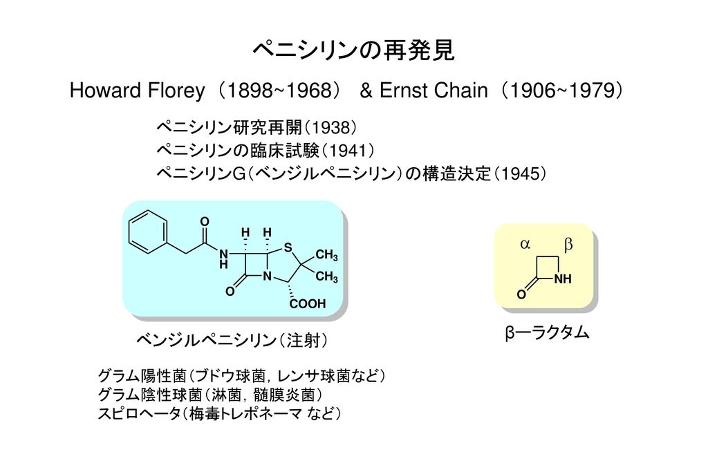 ペニシリンの再発見 Howard Florey（1898~1968） & Ernst Chain（1906~1979）