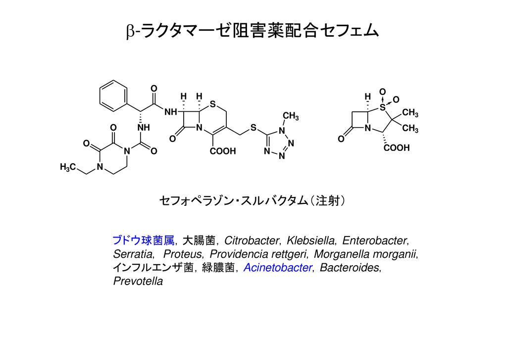 b-ラクタマーゼ阻害薬配合セフェム セフォペラゾン・スルバクタム（注射）