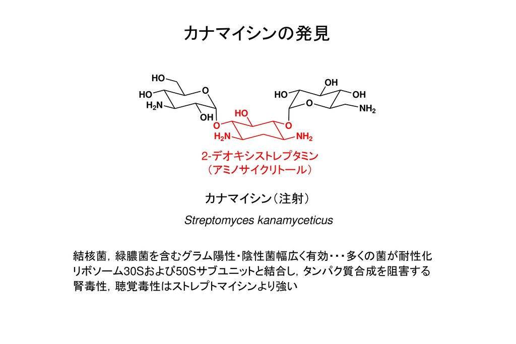カナマイシンの発見 カナマイシン（注射） 2-デオキシストレプタミン （アミノサイクリトール）