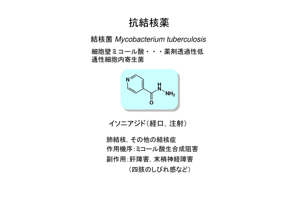 抗結核薬 結核菌 Mycobacterium tuberculosis イソニアジド（経口，注射） 細胞壁ミコール酸・・・薬剤透過性低