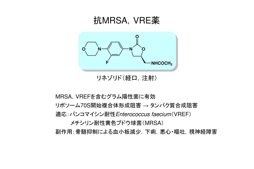 抗MRSA，VRE薬 リネゾリド（経口，注射） MRSA，VREFを含むグラム陽性菌に有効