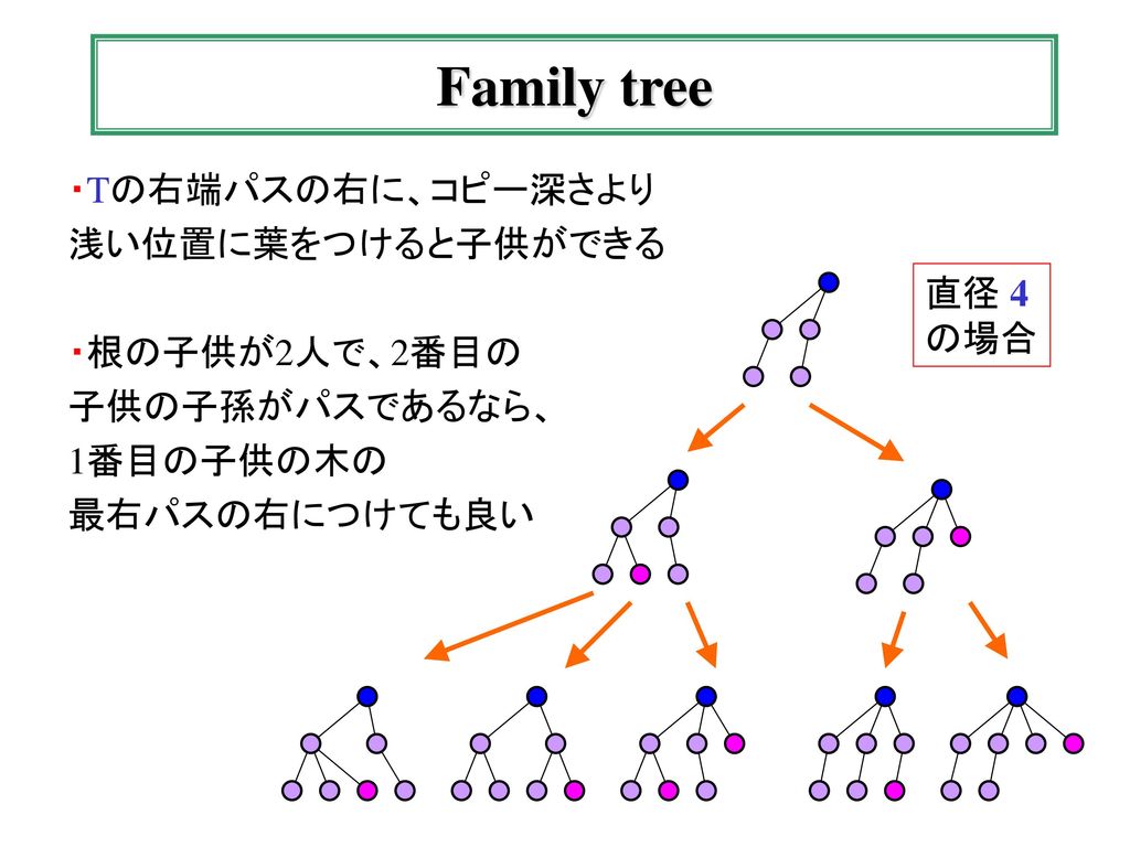 Family tree ・Tの右端パスの右に、コピー深さより 浅い位置に葉をつけると子供ができる ・根の子供が2人で、2番目の