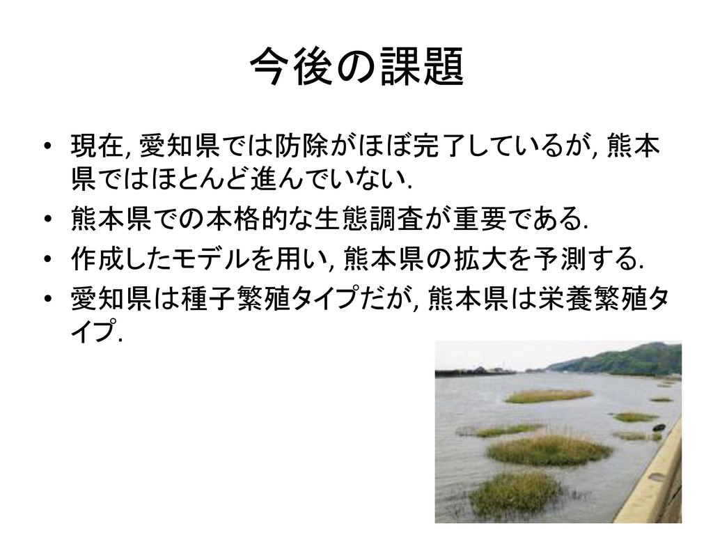 今後の課題 現在, 愛知県では防除がほぼ完了しているが, 熊本県ではほとんど進んでいない. 熊本県での本格的な生態調査が重要である.