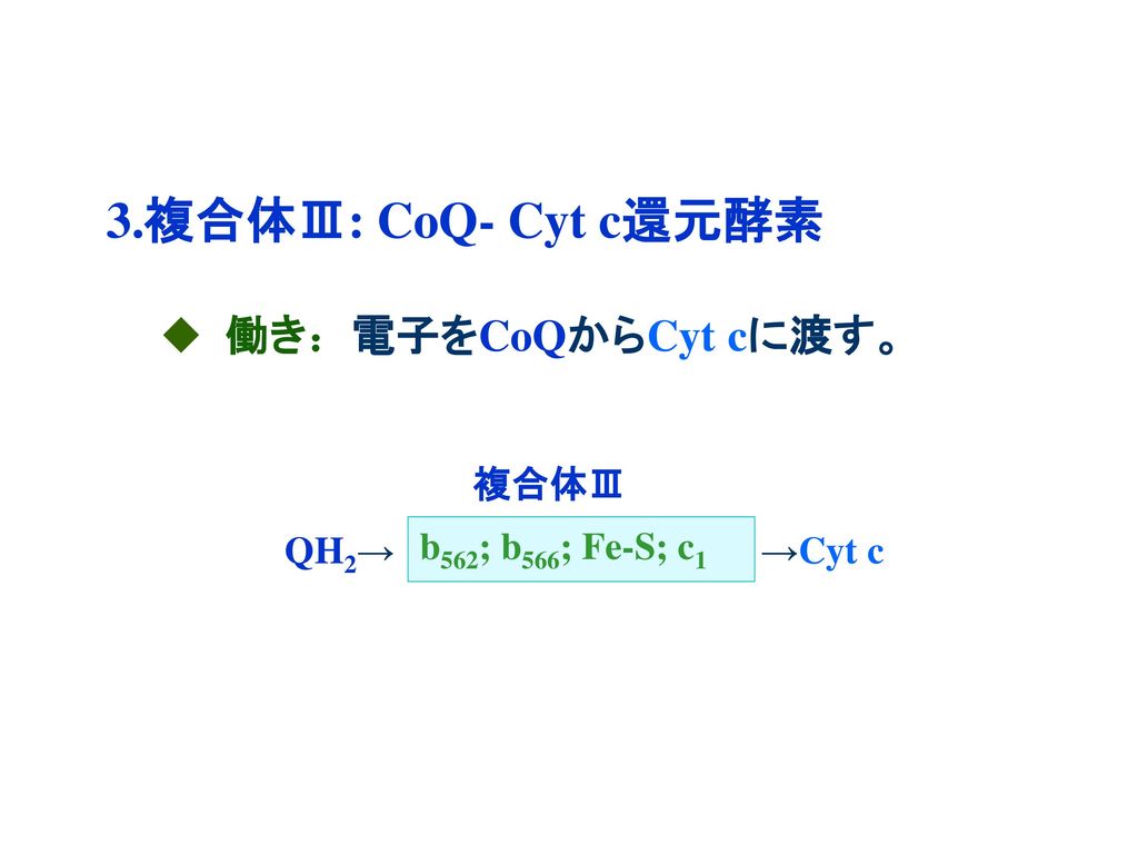 3.複合体Ⅲ: CoQ- Cyt c還元酵素 働き：電子をCoQからCyt cに渡す。 複合体Ⅲ QH2→ →Cyt c