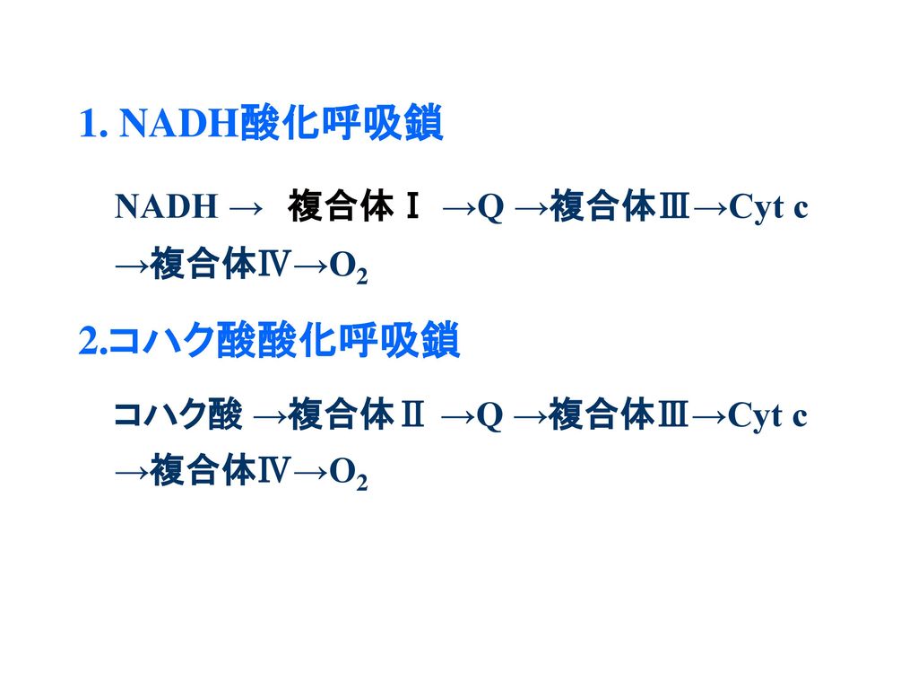 1. NADH酸化呼吸鎖 2.コハク酸酸化呼吸鎖 NADH → 複合体Ⅰ →Q →複合体Ⅲ→Cyt c →複合体Ⅳ→O2