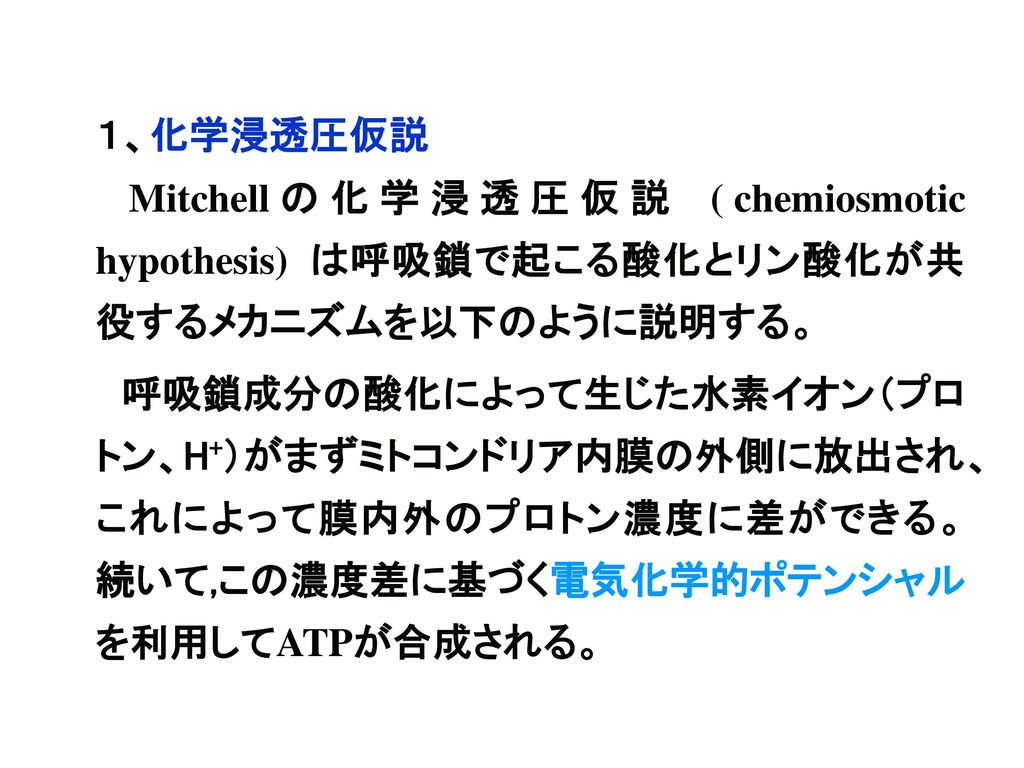 １、化学浸透圧仮説 Mitchellの化学浸透圧仮説 (chemiosmotic hypothesis) は呼吸鎖で起こる酸化とリン酸化が共役するメカニズムを以下のように説明する。