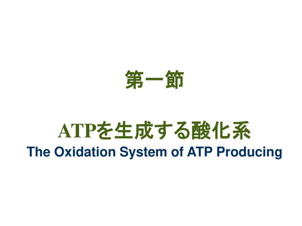 第一節 ATPを生成する酸化系 The Oxidation System of ATP Producing