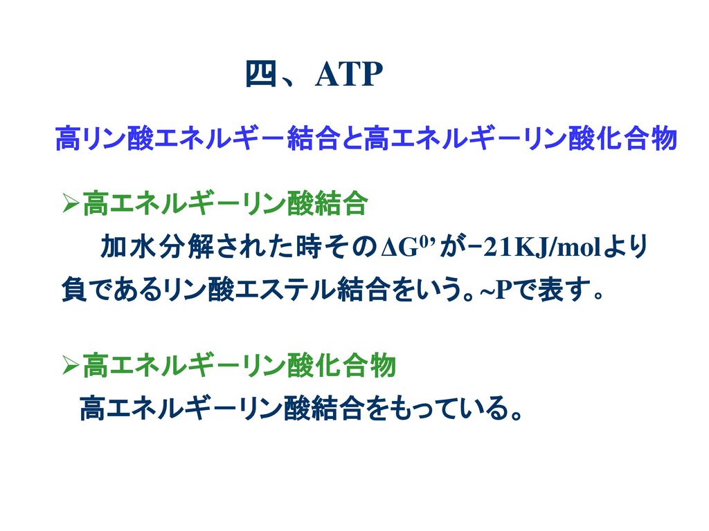 四、ATP 高リン酸エネルギ－結合と高エネルギ－リン酸化合物 高エネルギ－リン酸結合