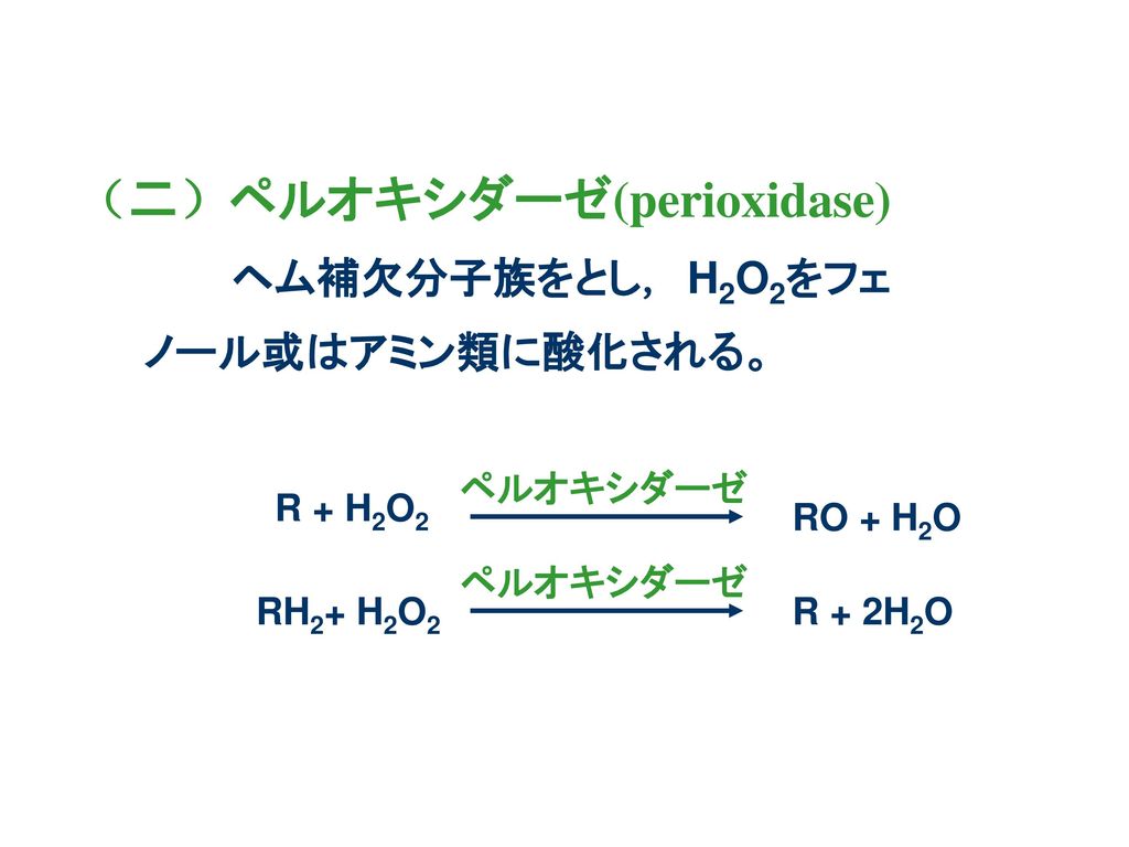 （二）ペルオキシダーゼ(perioxidase)