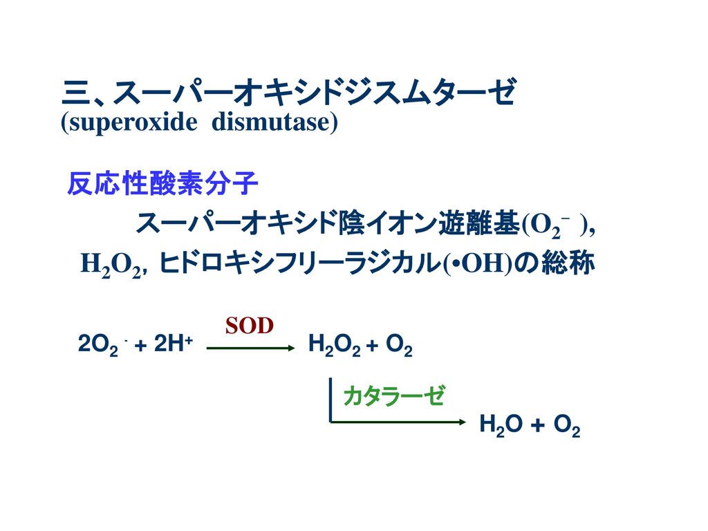 三、スーパーオキシドジスムターゼ (superoxide dismutase)