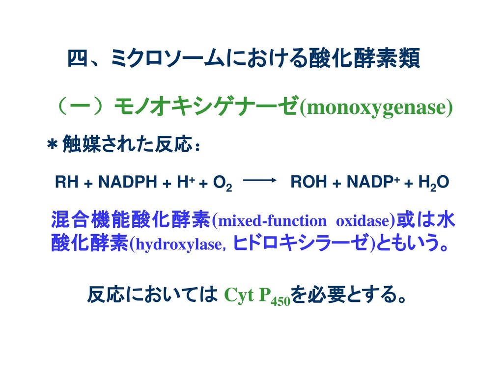 （一）モノオキシゲナーゼ(monoxygenase)