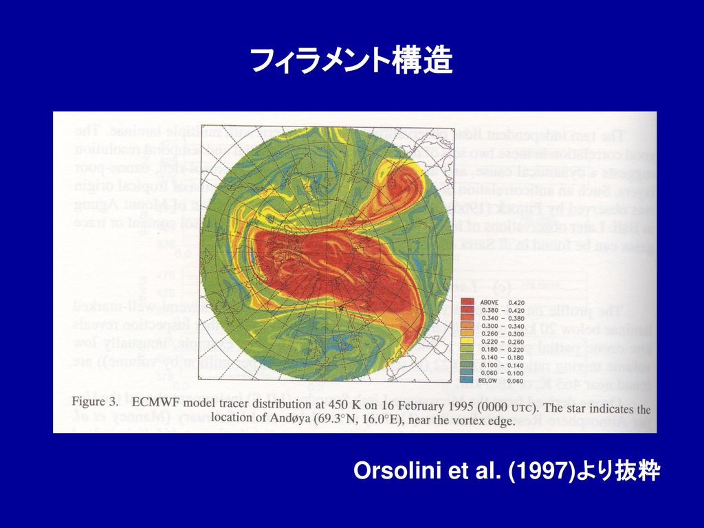 フィラメント構造 Orsolini et al. (1997)より抜粋