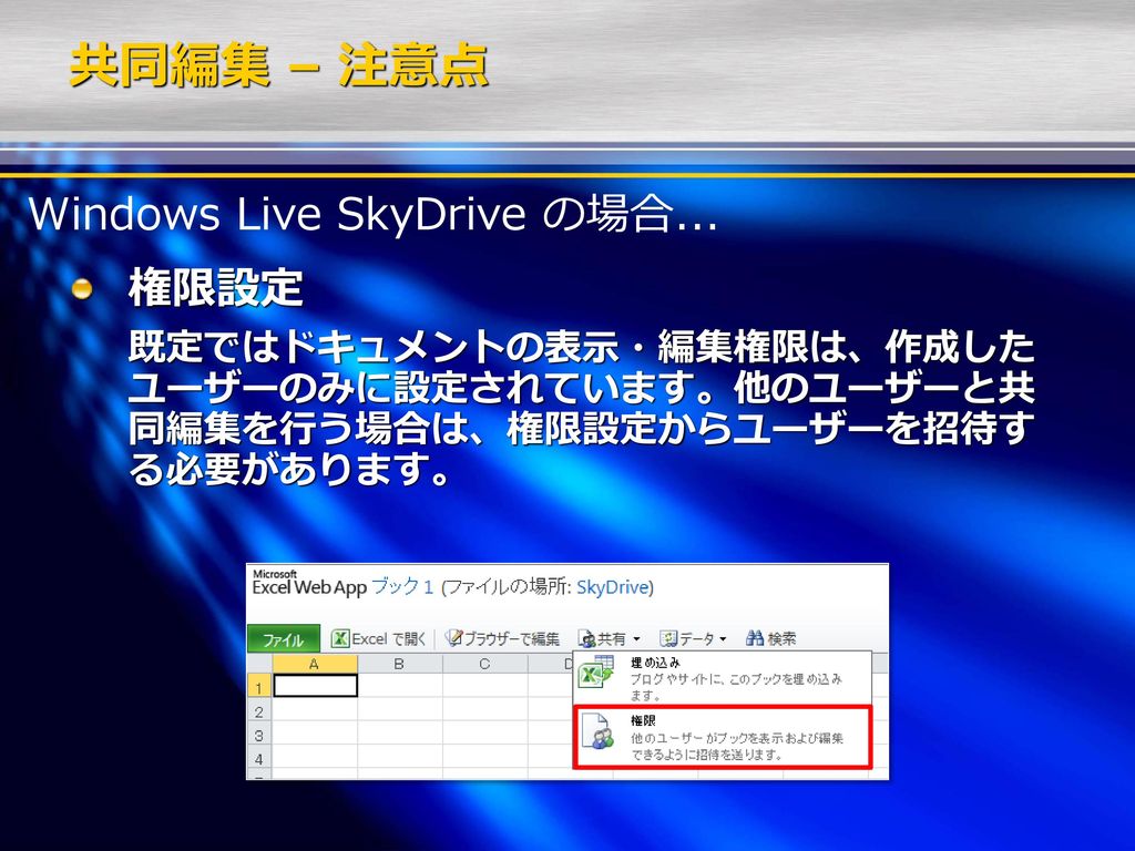 共同編集 – 注意点 Windows Live SkyDrive の場合... 権限設定