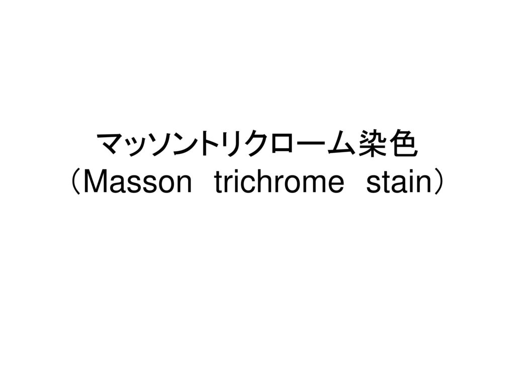マッソントリクローム染色 （Masson trichrome stain）