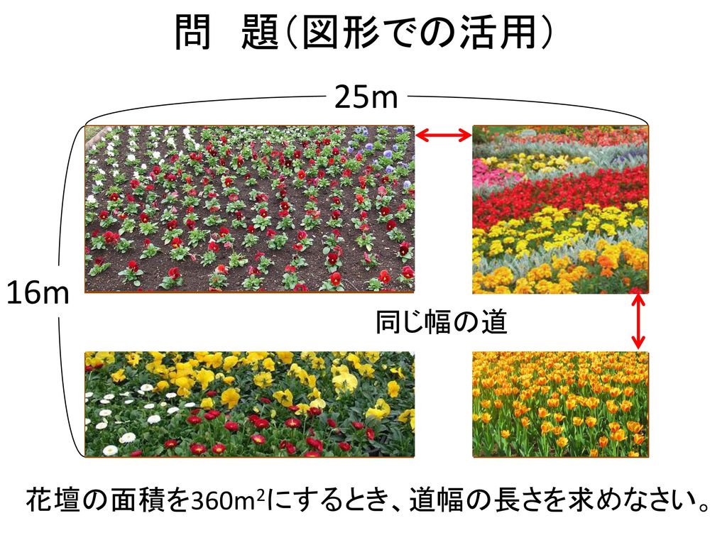 問 題（図形での活用） 25m 16m 同じ幅の道 花壇の面積を360m2にするとき、道幅の長さを求めなさい。