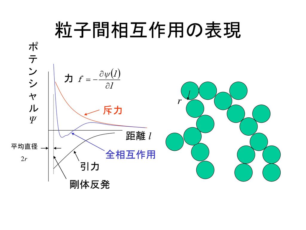 粒子間相互作用の表現 ポテンシャルΨ 平均直径 2r 力 斥力 引力 剛体反発 全相互作用 r 距離 l