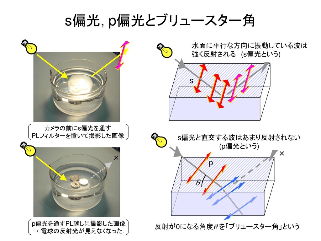 s偏光, p偏光とブリュースター角 s × × p q 水面に平行な方向に振動している波は 強く反射される (s偏光という)