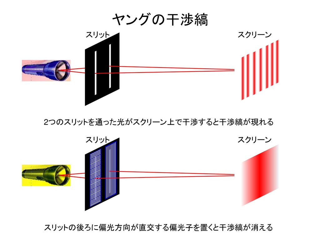ヤングの干渉縞 2つのスリットを通った光がスクリーン上で干渉すると干渉縞が現れる スリット スクリーン スリット スクリーン