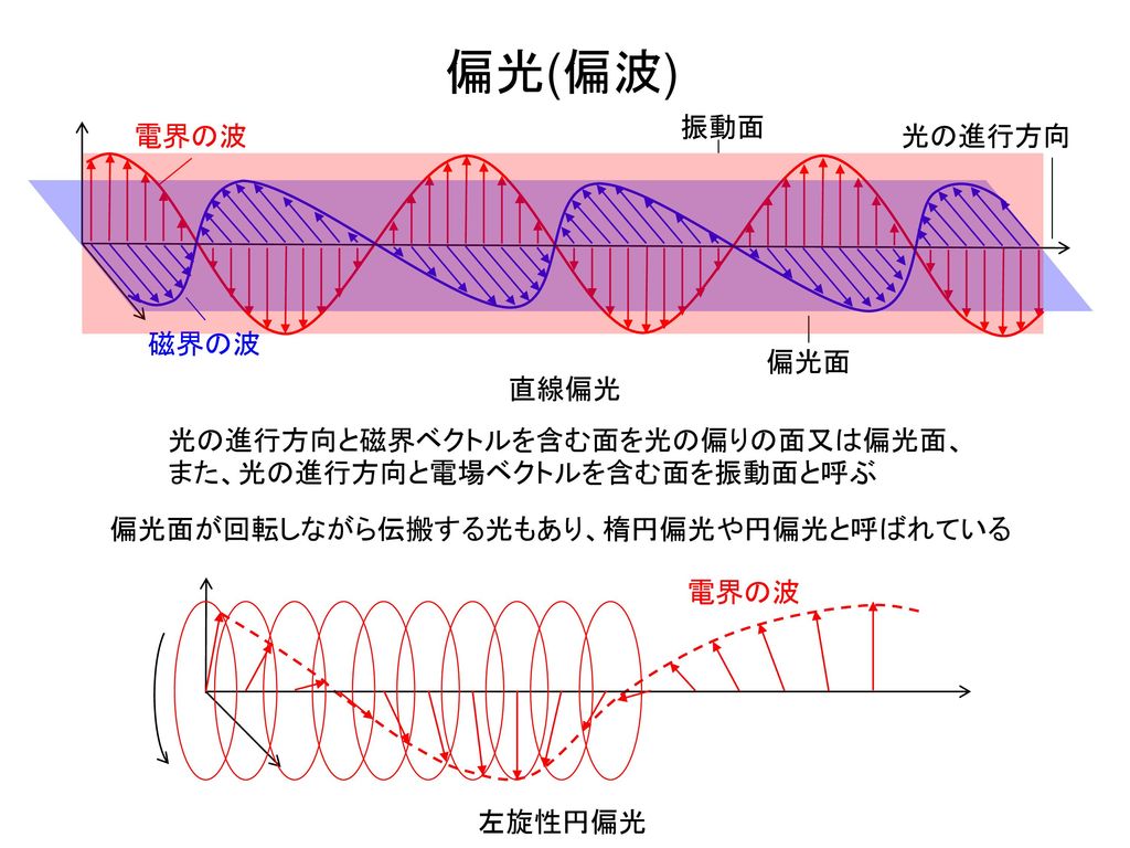 偏光(偏波) 振動面 電界の波 光の進行方向 磁界の波 偏光面 直線偏光