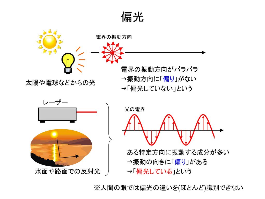 偏光 電界の振動方向がバラバラ 振動方向に「偏り」がない 「偏光していない」という 太陽や電球などからの光 レーザー