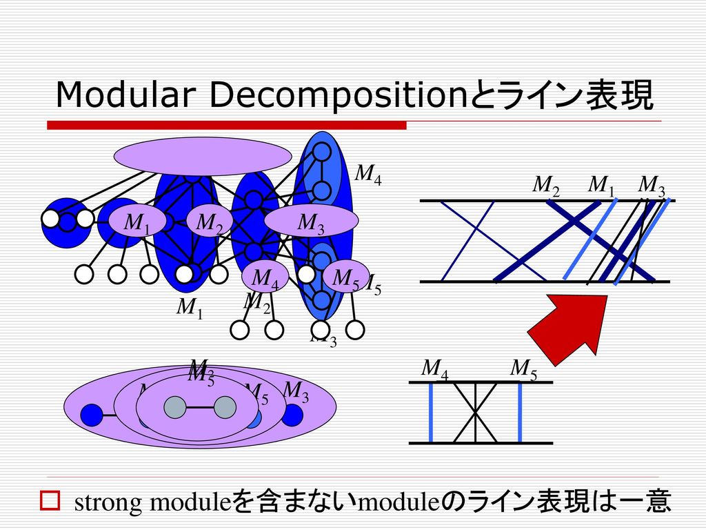 Modular Decompositionとライン表現