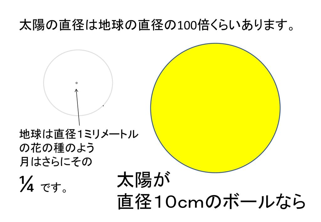¼ です。 太陽が 直径１０ｃｍのボールなら 太陽の直径は地球の直径の100倍くらいあります。 地球は直径１ミリメートル の花の種のよう