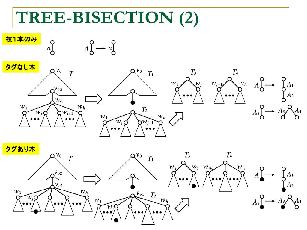 TREE-BISECTION (2) 枝１本のみ タグなし木 タグあり木