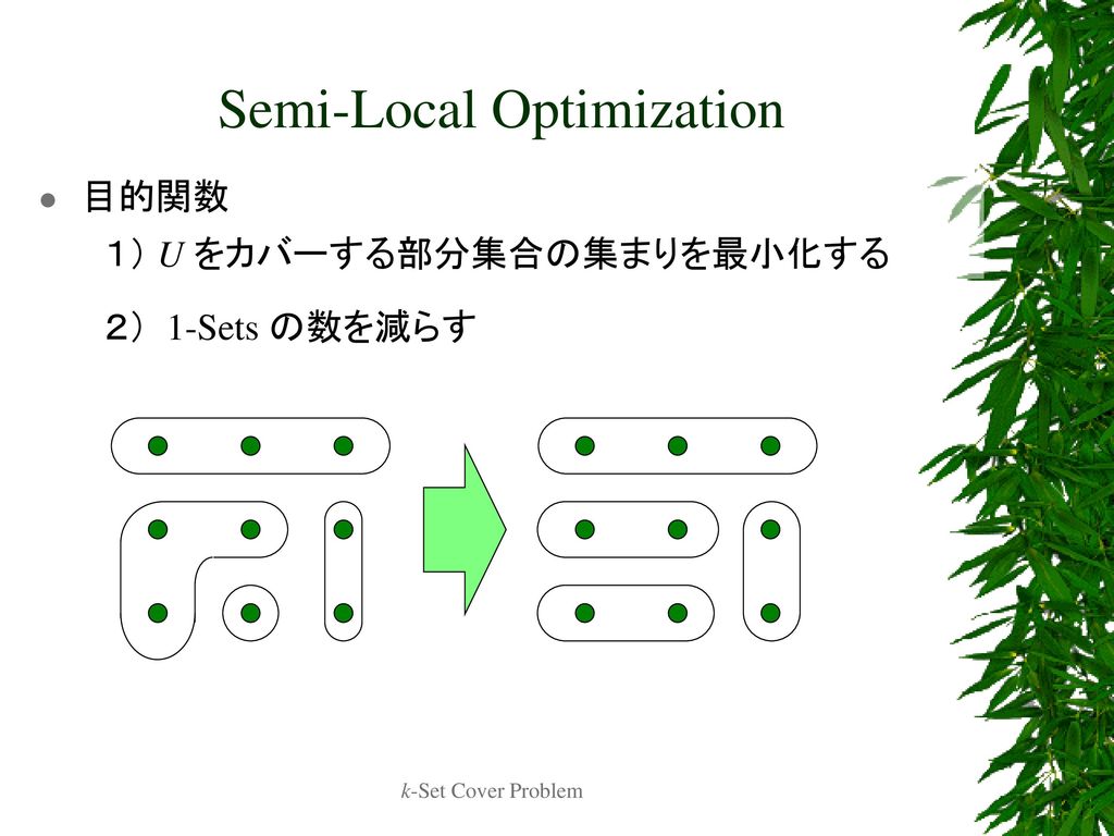 Semi-Local Optimization