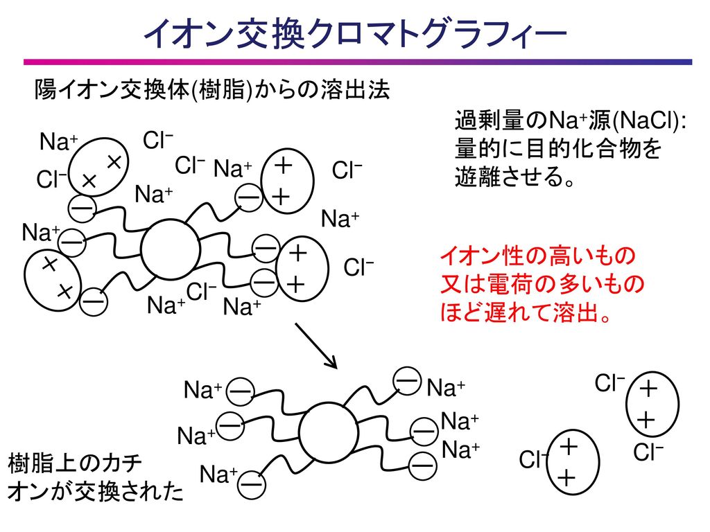 イオン交換クロマトグラフィー 陽イオン交換体(樹脂)からの溶出法 過剰量のNa+源(NaCl): 量的に目的化合物を 遊離させる。 Na+