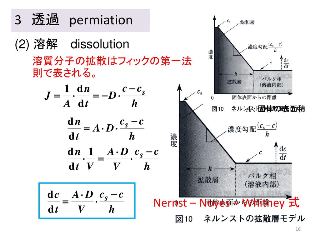 3 透過 permiation (2) 溶解 dissolution Nernst – Noyes – Whitney 式