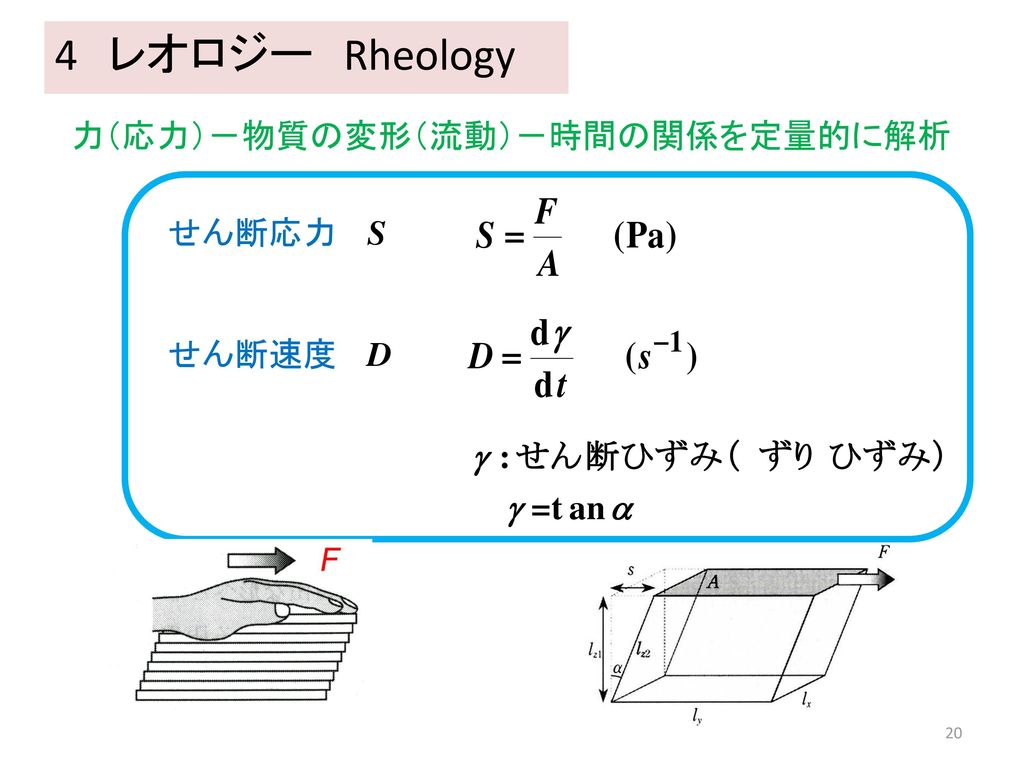 4 レオロジー Rheology 力（応力）－物質の変形（流動）－時間の関係を定量的に解析 せん断応力 S せん断速度 D