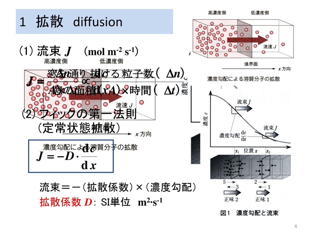 1 拡散 diffusion 1 拡散 diffusion (1) 流束 J （mol m-2 s-1） (2) フィックの第一法則